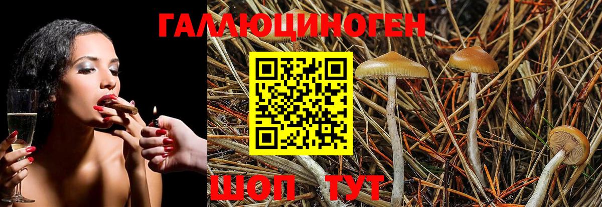 Серов  Галлюциногенные грибы мицелий  Вход с VPN 